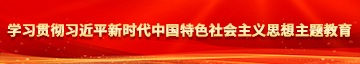 逼逼操操逼学习贯彻习近平新时代中国特色社会主义思想主题教育